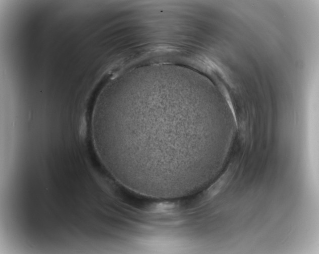 X0000088430158200706051236