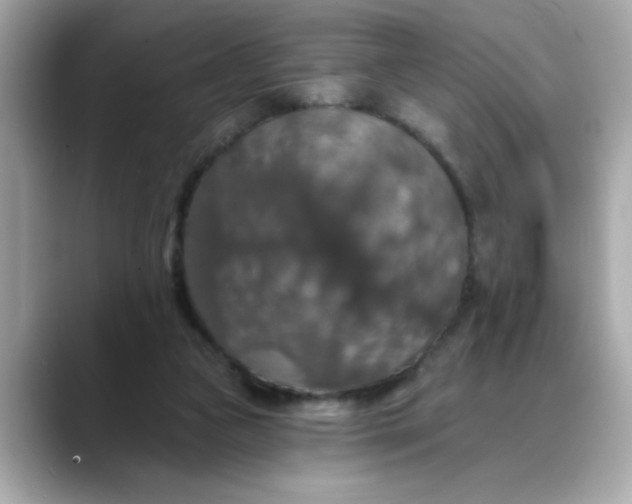 X0000088430161200706051236