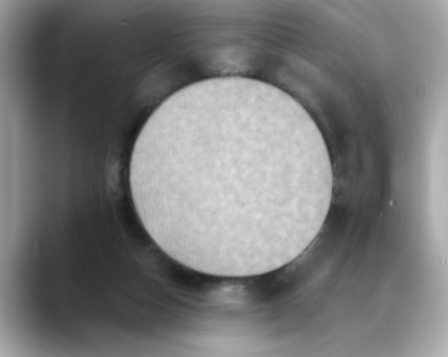 X0000088430162200706051236