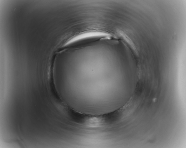 X0000088430163200706051236