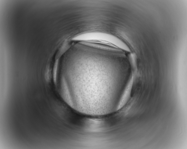 X0000088430164200706051236