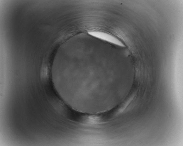 X0000088430165200706051236