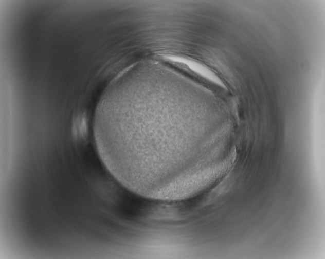 X0000088430166200706051236