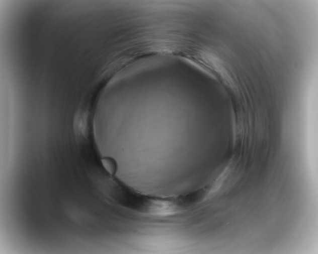 X0000088430167200706051236