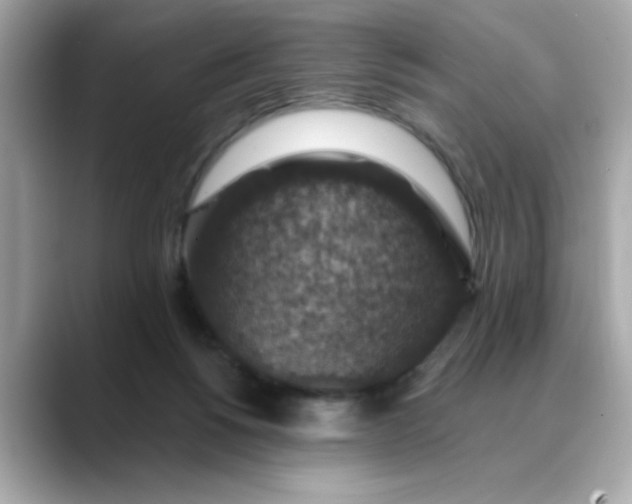 X0000088430168200706051236