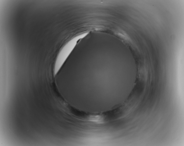 X0000088430169200706051236