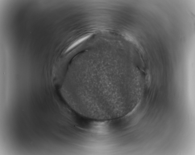 X0000088430170200706051236