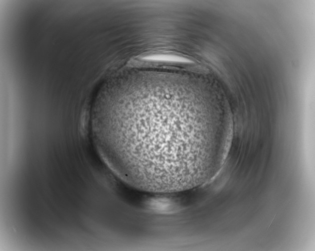 X0000088430171200706051236