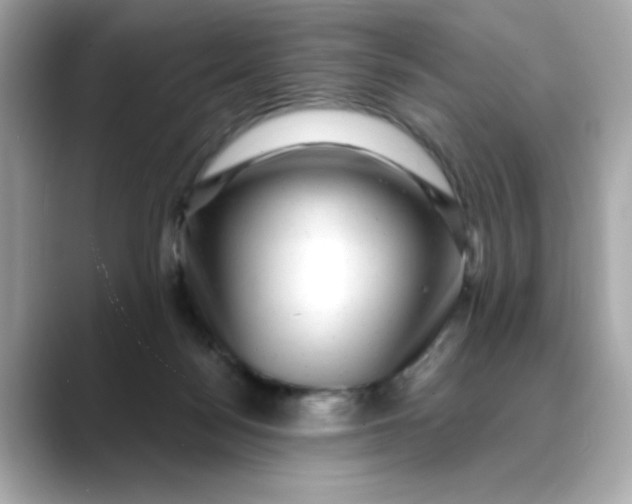 X0000088430172200706051236