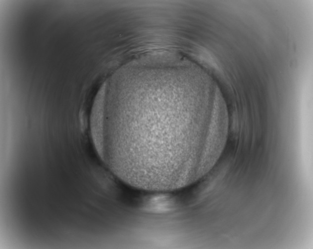 X0000088430173200706051236