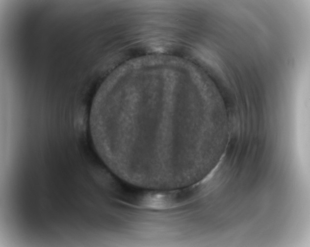 X0000088430174200706051236