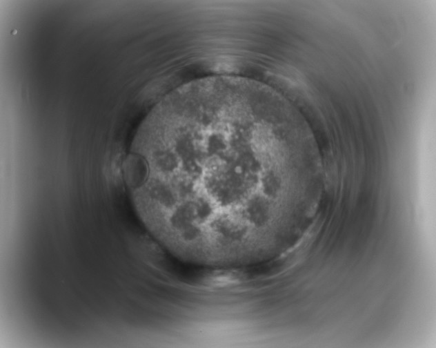 X0000088430175200706051237