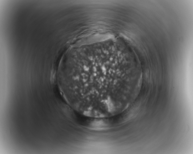 X0000088430177200706051237