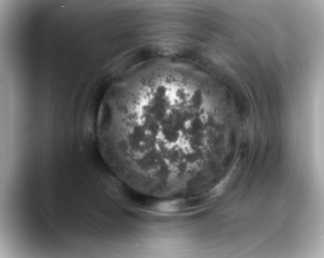 X0000088430178200706051237