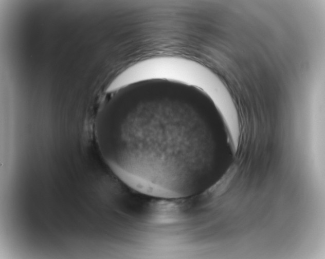 X0000088430180200706051237