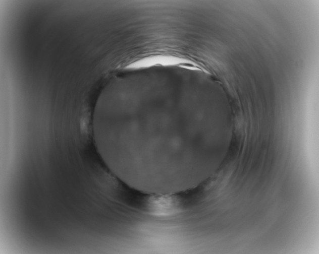 X0000088430181200706051237