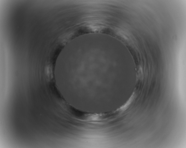 X0000088430182200706051237