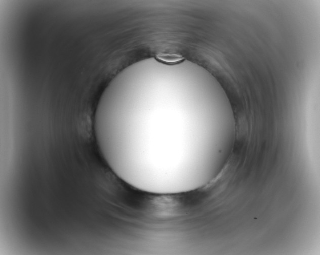 X0000088430183200706051237