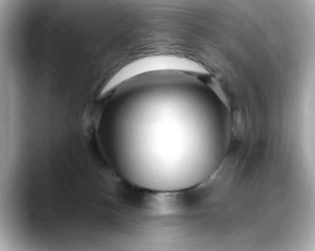 X0000088430184200706051237