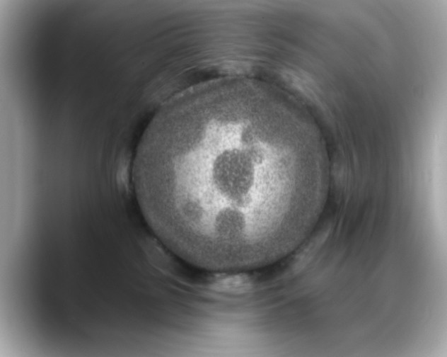 X0000088430185200706051237