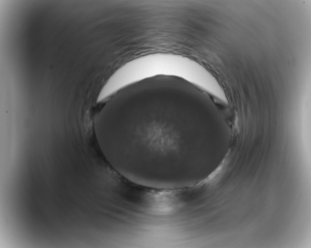 X0000088430186200706051237