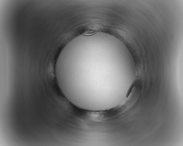 X0000088430187200706051237