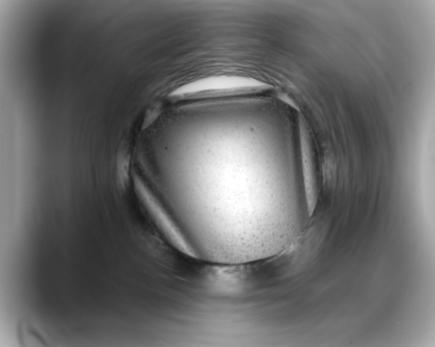 X0000088430188200706051237