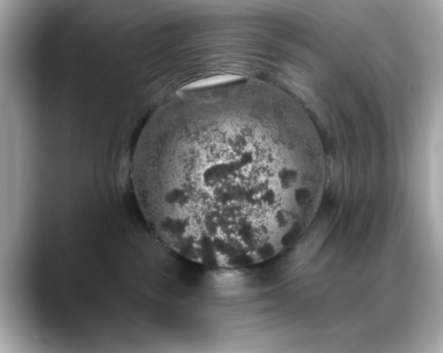 X0000088430189200706051237