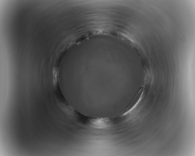 X0000088430191200706051237