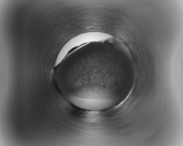 X0000088430192200706051237