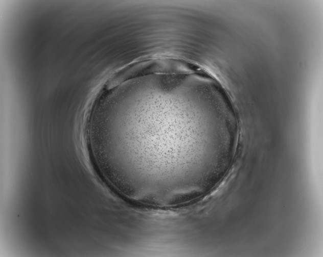 X0000088430193200706051236