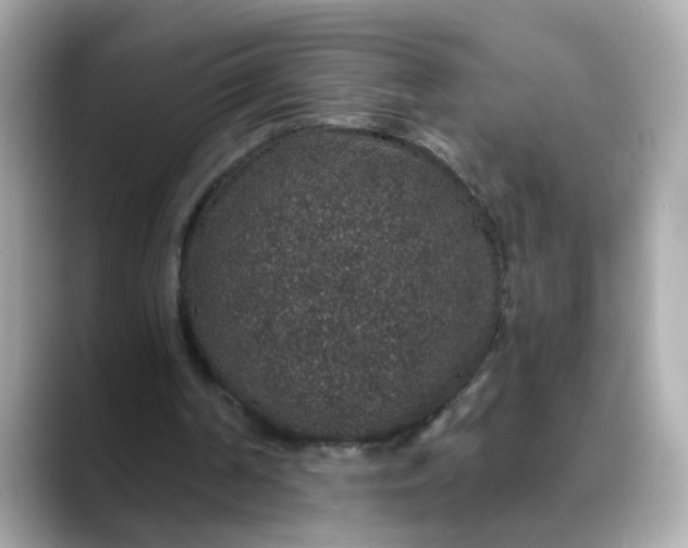 X0000088430194200706051236