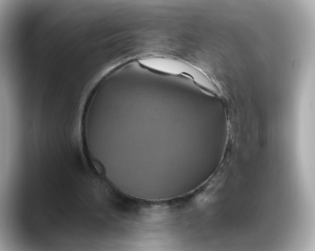 X0000088430196200706051236