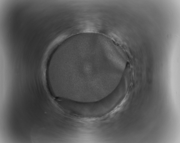 X0000088430197200706051236