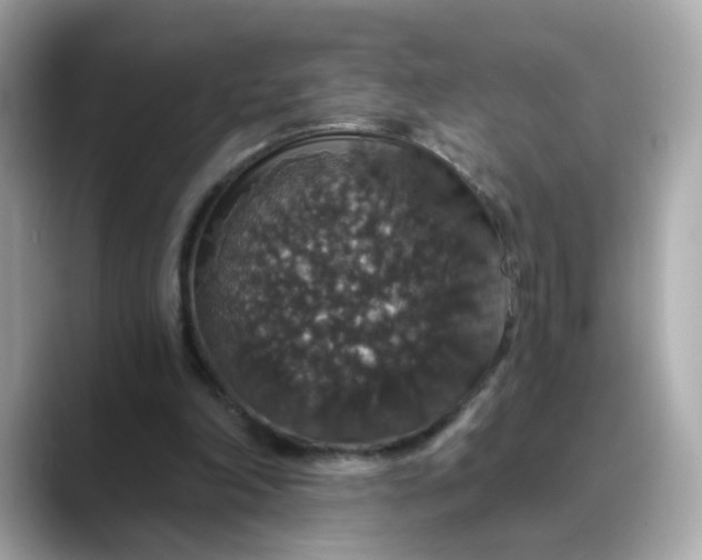 X0000088430198200706051236