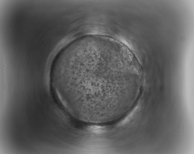 X0000088430199200706051236