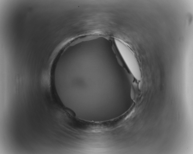 X0000088430200200706051236