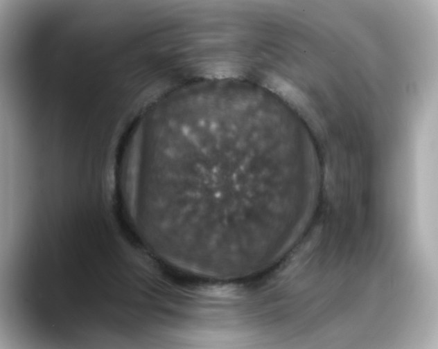 X0000088430202200706051236