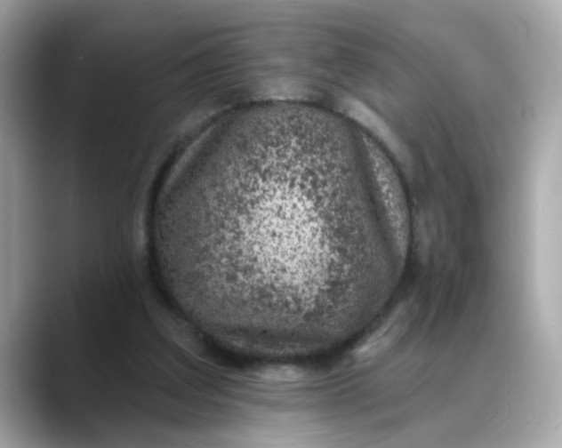 X0000088430203200706051236