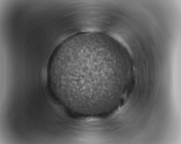 X0000088430204200706051236