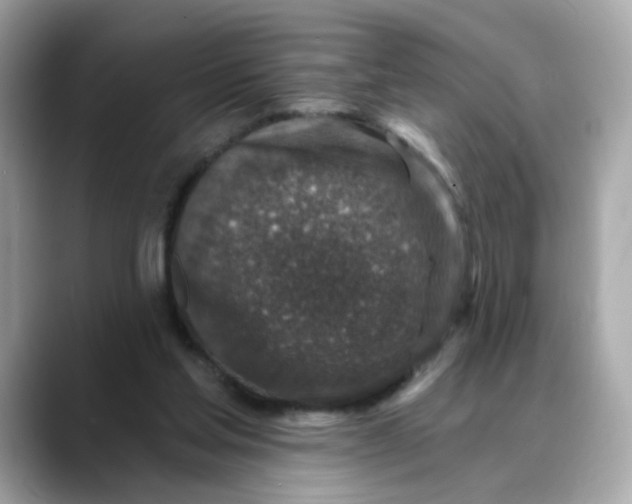 X0000088430205200706051236