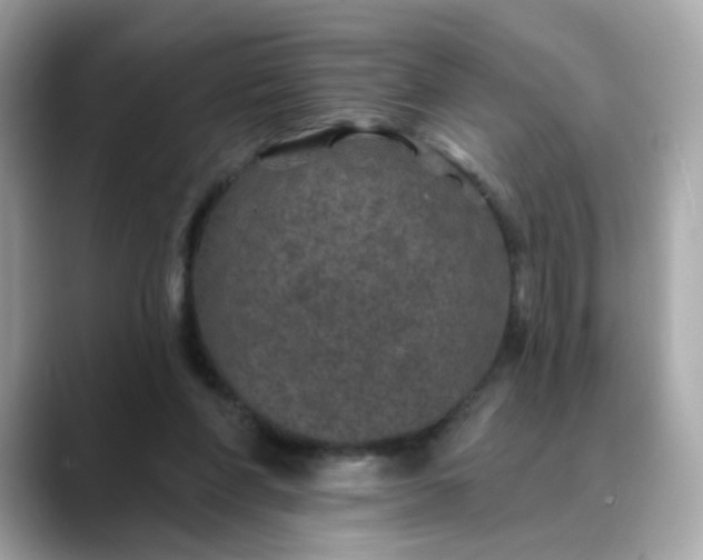 X0000088430206200706051236