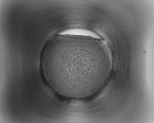 X0000088430207200706051236