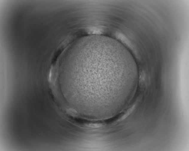 X0000088430209200706051236