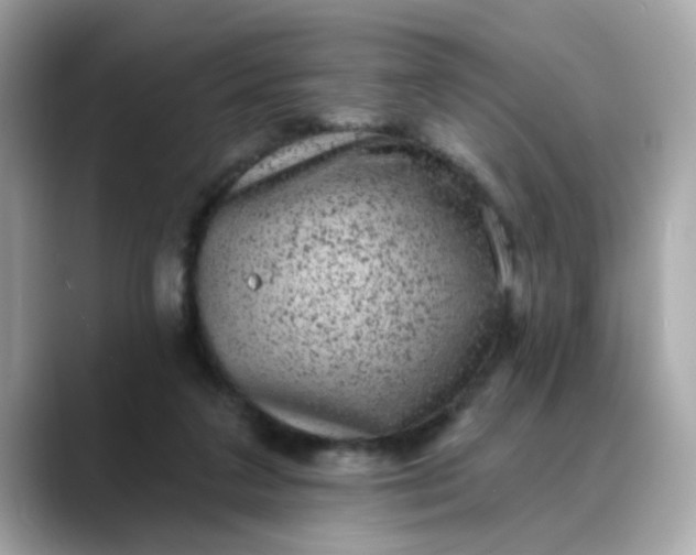 X0000088430211200706051236