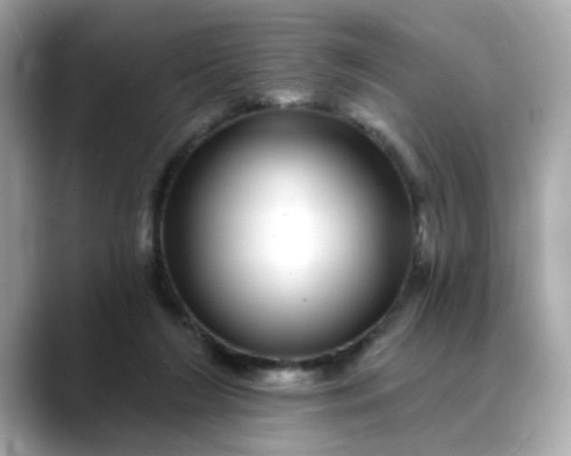 X0000088430212200706051236