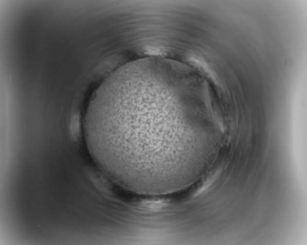 X0000088430213200706051236