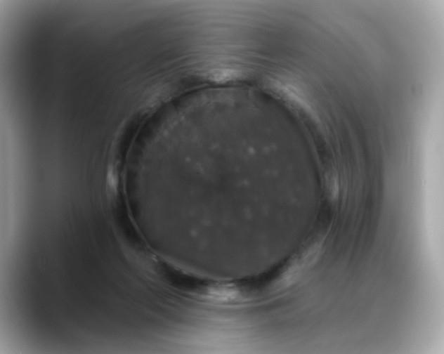 X0000088430214200706051236