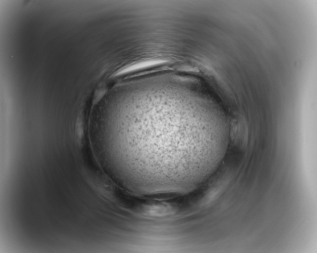 X0000088430215200706051236