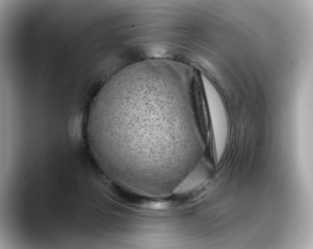 X0000088430217200706051236